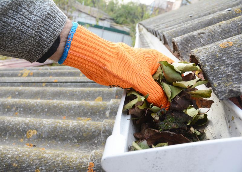 Business Gutter Cleaning in Denver County, CO
