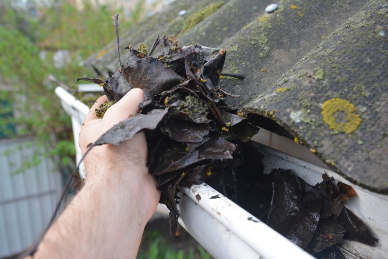 Clogged Gutter Clearing in Baltimore, MD