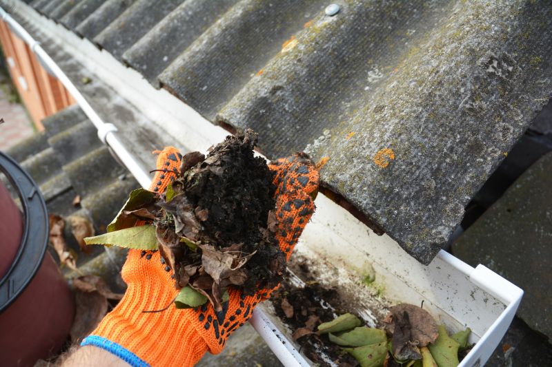 Commercial Gutter Unclogging in Denver, CO