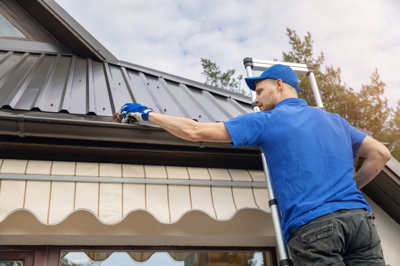 Gutter Cleaning in Baltimore, MD