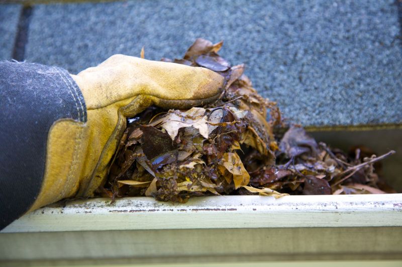 Gutter Leaf Clearing in Fredericksburg, VA