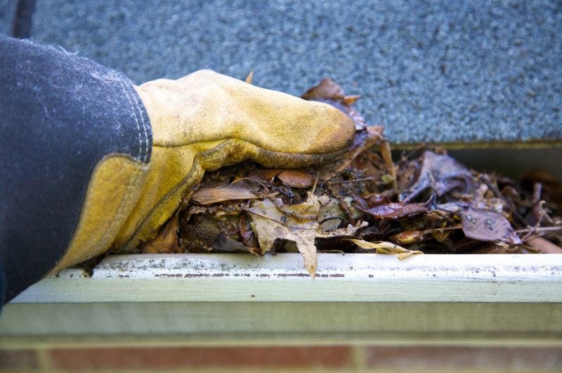 Gutter Pine Needle Removal in Frederick, MD