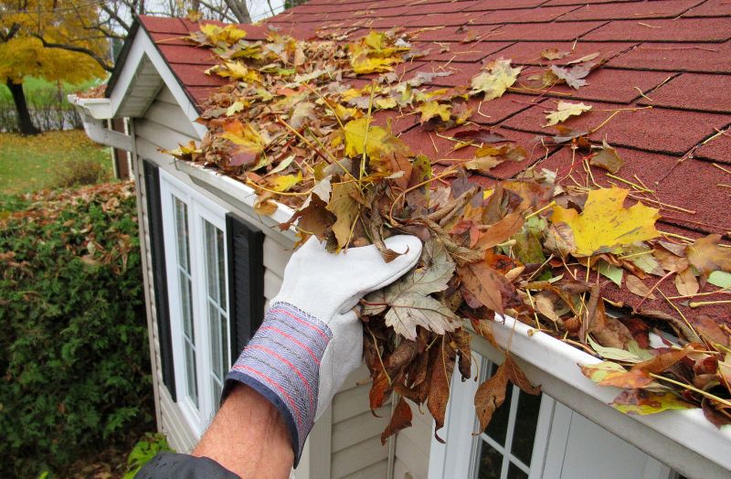 Gutter Pine Needle Removal in Long Island, NY